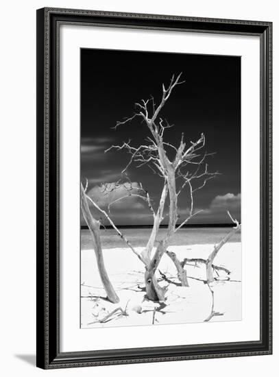 Cuba Fuerte Collection B&W - Trees and White Sand VI-Philippe Hugonnard-Framed Photographic Print