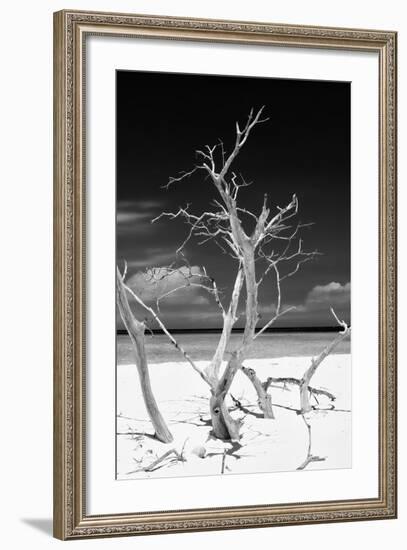 Cuba Fuerte Collection B&W - Trees and White Sand VI-Philippe Hugonnard-Framed Photographic Print