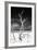 Cuba Fuerte Collection B&W - Trees and White Sand VI-Philippe Hugonnard-Framed Photographic Print