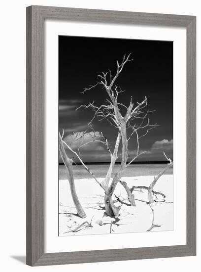 Cuba Fuerte Collection B&W - Trees and White Sand VI-Philippe Hugonnard-Framed Photographic Print