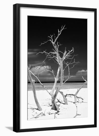 Cuba Fuerte Collection B&W - Trees and White Sand VI-Philippe Hugonnard-Framed Photographic Print