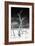 Cuba Fuerte Collection B&W - Trees and White Sand VI-Philippe Hugonnard-Framed Photographic Print