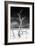 Cuba Fuerte Collection B&W - Trees and White Sand VI-Philippe Hugonnard-Framed Photographic Print