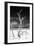 Cuba Fuerte Collection B&W - Trees and White Sand VI-Philippe Hugonnard-Framed Photographic Print