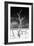 Cuba Fuerte Collection B&W - Trees and White Sand VI-Philippe Hugonnard-Framed Photographic Print