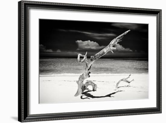 Cuba Fuerte Collection B&W - Trees and White Sand VII-Philippe Hugonnard-Framed Photographic Print