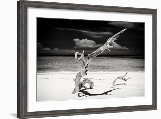 Cuba Fuerte Collection B&W - Trees and White Sand VII-Philippe Hugonnard-Framed Photographic Print