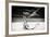 Cuba Fuerte Collection B&W - Trees and White Sand VII-Philippe Hugonnard-Framed Photographic Print