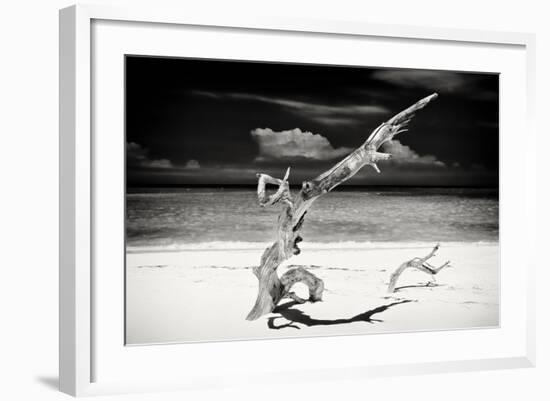 Cuba Fuerte Collection B&W - Trees and White Sand VII-Philippe Hugonnard-Framed Photographic Print