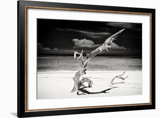 Cuba Fuerte Collection B&W - Trees and White Sand VII-Philippe Hugonnard-Framed Photographic Print