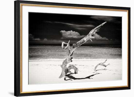 Cuba Fuerte Collection B&W - Trees and White Sand VII-Philippe Hugonnard-Framed Photographic Print