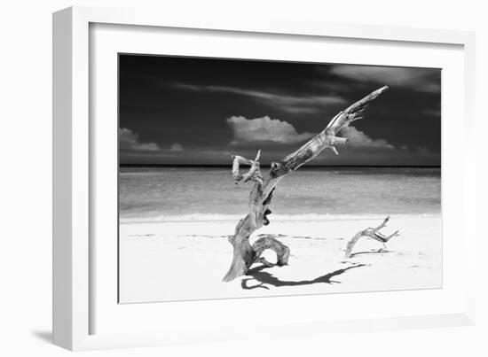 Cuba Fuerte Collection B&W - Trees and White Sand VIII-Philippe Hugonnard-Framed Photographic Print