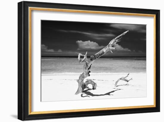 Cuba Fuerte Collection B&W - Trees and White Sand VIII-Philippe Hugonnard-Framed Photographic Print