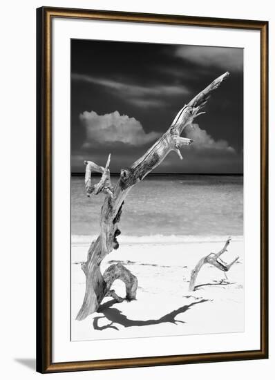 Cuba Fuerte Collection B&W - Trees and White Sand X-Philippe Hugonnard-Framed Photographic Print