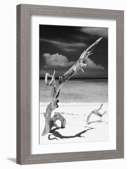 Cuba Fuerte Collection B&W - Trees and White Sand X-Philippe Hugonnard-Framed Photographic Print