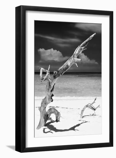 Cuba Fuerte Collection B&W - Trees and White Sand X-Philippe Hugonnard-Framed Photographic Print