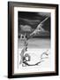 Cuba Fuerte Collection B&W - Trees and White Sand X-Philippe Hugonnard-Framed Photographic Print