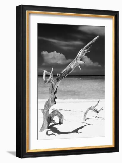 Cuba Fuerte Collection B&W - Trees and White Sand X-Philippe Hugonnard-Framed Photographic Print