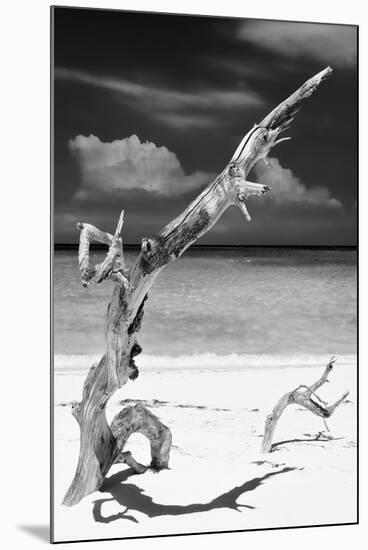 Cuba Fuerte Collection B&W - Trees and White Sand X-Philippe Hugonnard-Mounted Premium Photographic Print