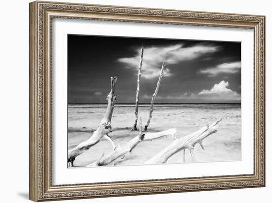 Cuba Fuerte Collection B&W - Trees and White Sand XI-Philippe Hugonnard-Framed Photographic Print