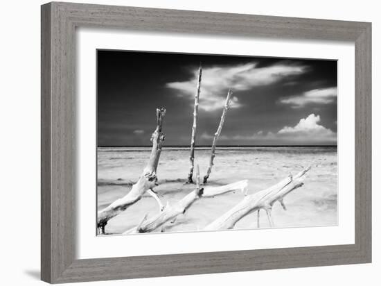 Cuba Fuerte Collection B&W - Trees and White Sand XI-Philippe Hugonnard-Framed Photographic Print