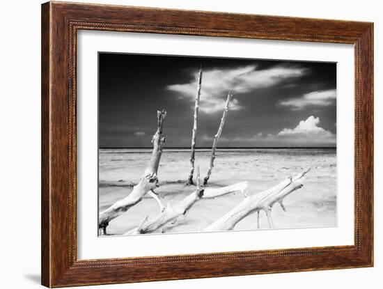 Cuba Fuerte Collection B&W - Trees and White Sand XI-Philippe Hugonnard-Framed Photographic Print