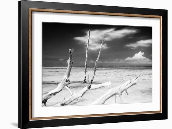 Cuba Fuerte Collection B&W - Trees and White Sand XI-Philippe Hugonnard-Framed Photographic Print