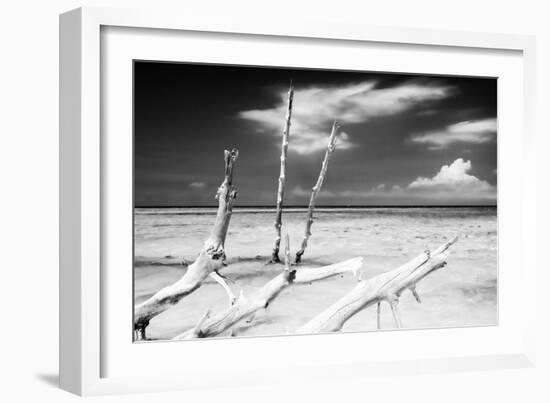 Cuba Fuerte Collection B&W - Trees and White Sand XI-Philippe Hugonnard-Framed Photographic Print