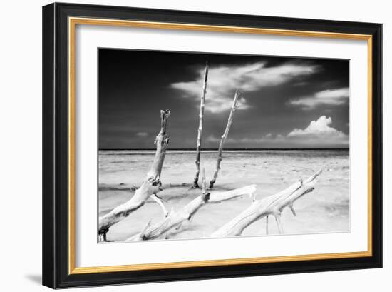 Cuba Fuerte Collection B&W - Trees and White Sand XI-Philippe Hugonnard-Framed Photographic Print