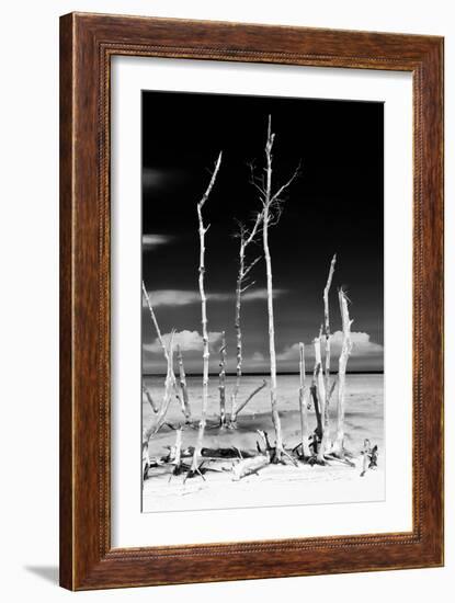 Cuba Fuerte Collection B&W - Trees and White Sand XIV-Philippe Hugonnard-Framed Photographic Print