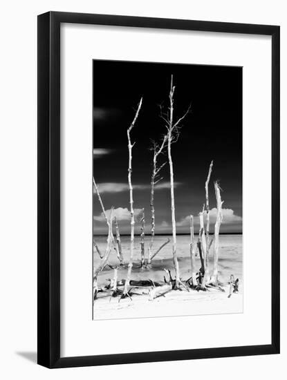 Cuba Fuerte Collection B&W - Trees and White Sand XIV-Philippe Hugonnard-Framed Photographic Print