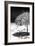 Cuba Fuerte Collection B&W - Tropical Beach Umbrella IV-Philippe Hugonnard-Framed Photographic Print