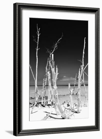 Cuba Fuerte Collection B&W - White Trees Beach II-Philippe Hugonnard-Framed Photographic Print