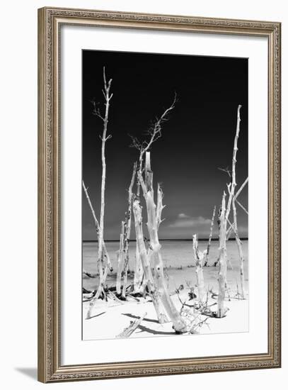 Cuba Fuerte Collection B&W - White Trees Beach II-Philippe Hugonnard-Framed Photographic Print