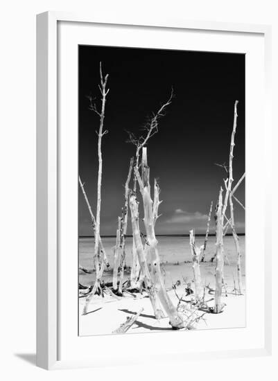 Cuba Fuerte Collection B&W - White Trees Beach II-Philippe Hugonnard-Framed Photographic Print