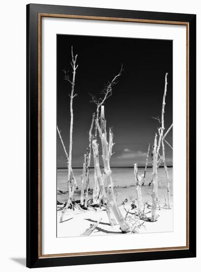 Cuba Fuerte Collection B&W - White Trees Beach II-Philippe Hugonnard-Framed Photographic Print