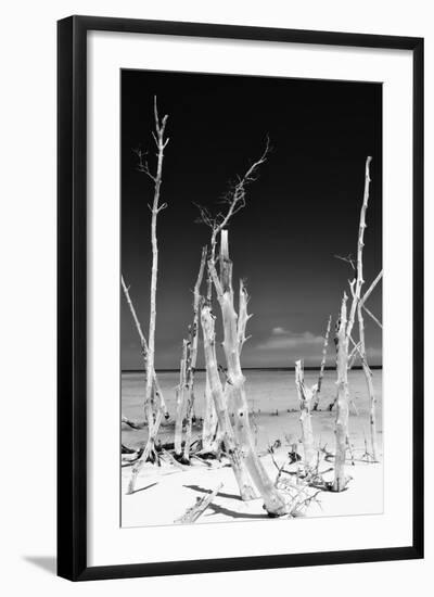 Cuba Fuerte Collection B&W - White Trees Beach II-Philippe Hugonnard-Framed Photographic Print