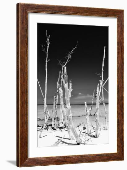 Cuba Fuerte Collection B&W - White Trees Beach II-Philippe Hugonnard-Framed Photographic Print