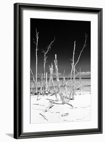 Cuba Fuerte Collection B&W - White Trees Beach III-Philippe Hugonnard-Framed Photographic Print