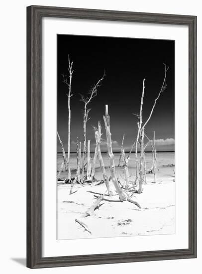 Cuba Fuerte Collection B&W - White Trees Beach III-Philippe Hugonnard-Framed Photographic Print