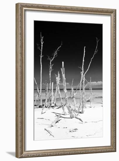 Cuba Fuerte Collection B&W - White Trees Beach III-Philippe Hugonnard-Framed Photographic Print