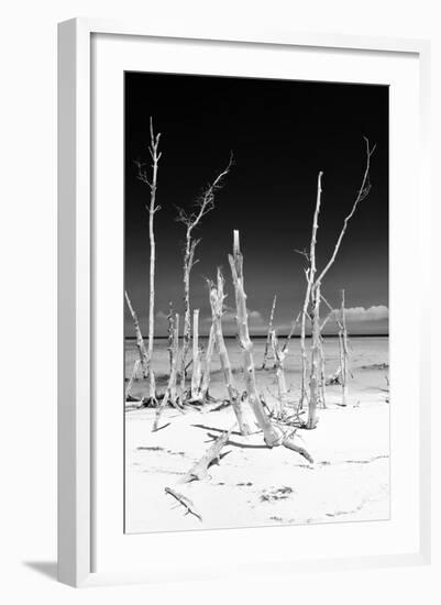 Cuba Fuerte Collection B&W - White Trees Beach III-Philippe Hugonnard-Framed Photographic Print