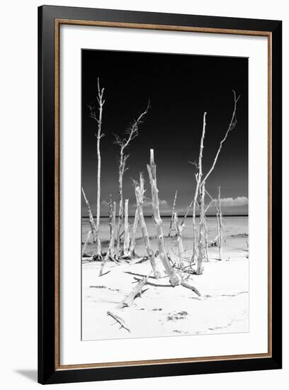 Cuba Fuerte Collection B&W - White Trees Beach III-Philippe Hugonnard-Framed Photographic Print