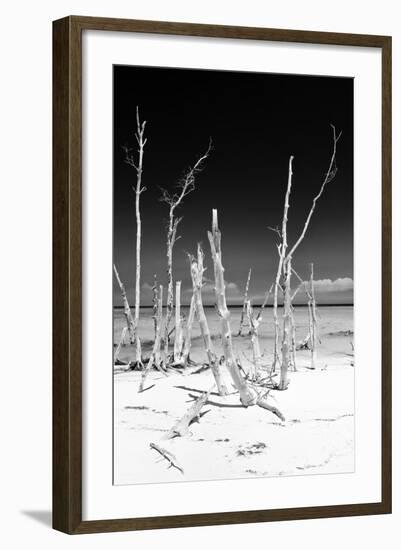 Cuba Fuerte Collection B&W - White Trees Beach III-Philippe Hugonnard-Framed Photographic Print