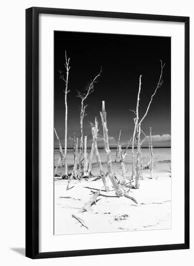 Cuba Fuerte Collection B&W - White Trees Beach III-Philippe Hugonnard-Framed Photographic Print