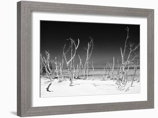 Cuba Fuerte Collection B&W - White Trees Beach IV-Philippe Hugonnard-Framed Photographic Print