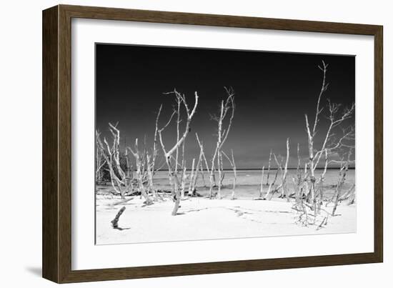 Cuba Fuerte Collection B&W - White Trees Beach IV-Philippe Hugonnard-Framed Photographic Print