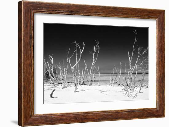 Cuba Fuerte Collection B&W - White Trees Beach IV-Philippe Hugonnard-Framed Photographic Print