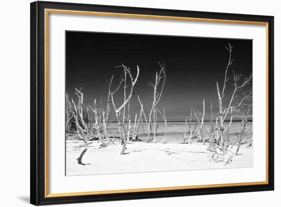 Cuba Fuerte Collection B&W - White Trees Beach IV-Philippe Hugonnard-Framed Photographic Print