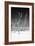 Cuba Fuerte Collection B&W - White Trees Beach V-Philippe Hugonnard-Framed Photographic Print